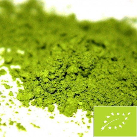 Matcha organiczna