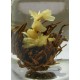 Flowering tea
